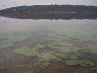Jezero je nevhodné ke koupání!