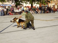 Akce k Darkovičkám 19.05.2006