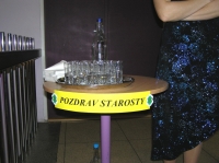 8. ples města Hlučína