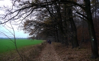 Naučná stezka 