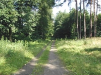 Naučná stezka Chuchelenský les