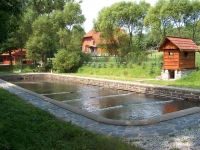 Pstruží farma v Bělé