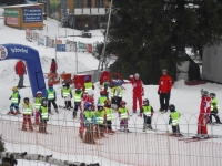 Základní škola a mateřská škola Ludgeřovice