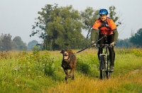Extrémní cyklistický závod bez zabezpečení 1000 Miles se zůčastnil rodák Luboš Seidl