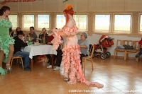 Travesti DIVOKÉ KOČKY na Laguně